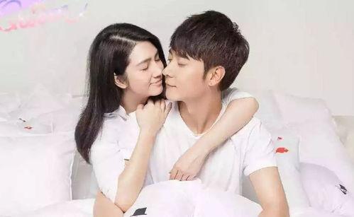 娱乐圈吃瓜协会是什么,揭秘娱乐圈背后的秘密与八卦